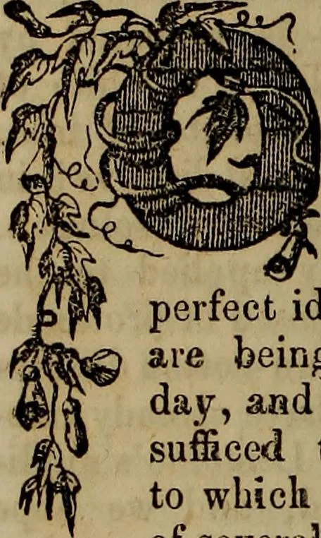 An illustration from The Photographic art-journal, 1851, leaf 221