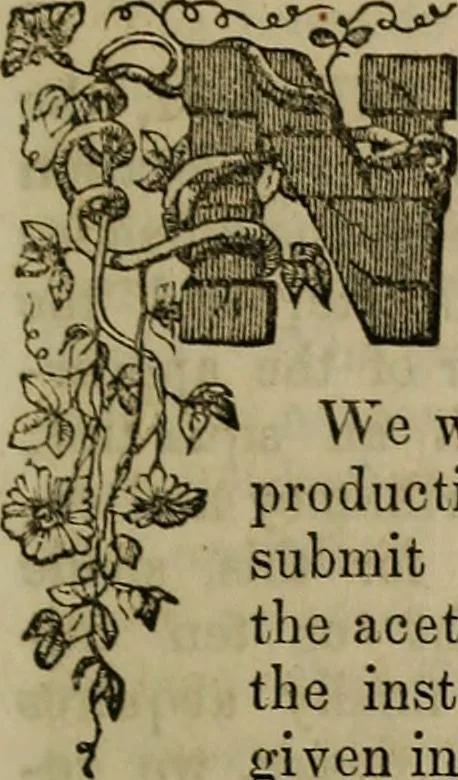 An illustration from The Photographic art-journal, 1851, leaf 224