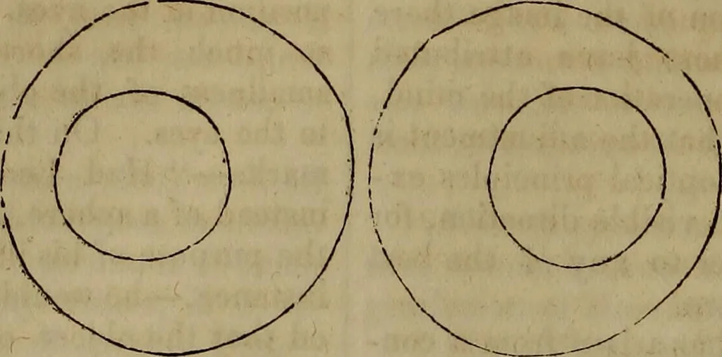 An illustration from The Photographic art-journal, 1851, leaf 237