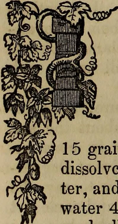 An illustration from The Photographic art-journal, 1851, leaf 241