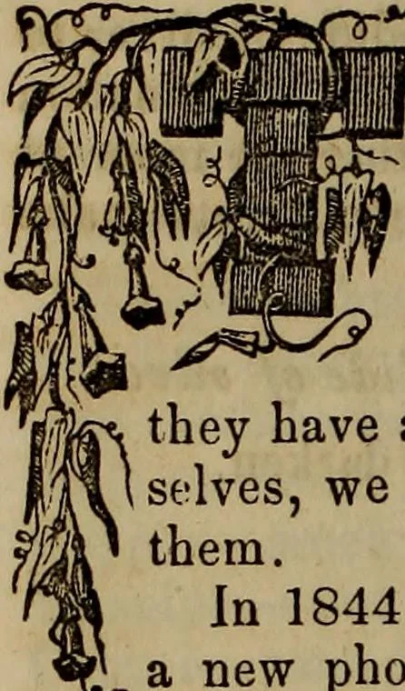 An illustration from The Photographic art-journal, 1851, leaf 251