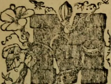 An illustration from The Photographic art-journal, 1851, leaf 28