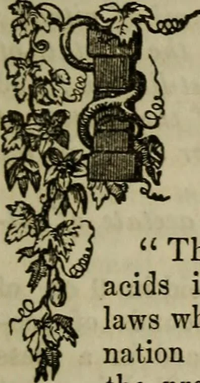 An illustration from The Photographic art-journal, 1851, leaf 284
