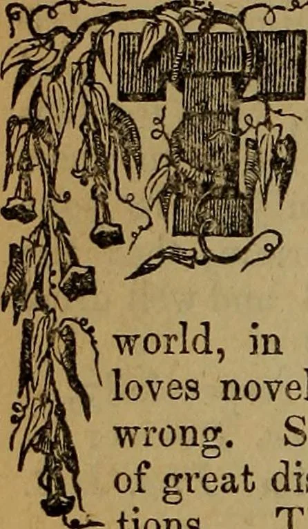 An illustration from The Photographic art-journal, 1851, leaf 29