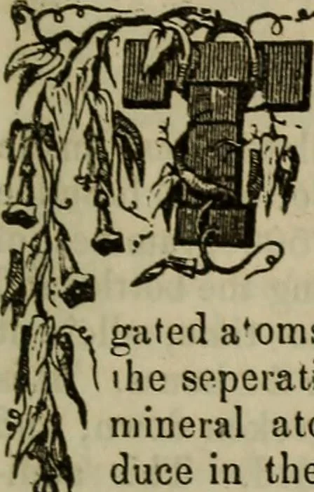 An illustration from The Photographic art-journal, 1851, leaf 310
