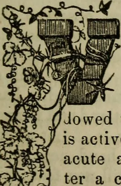 An illustration from The Photographic art-journal, 1851, leaf 314