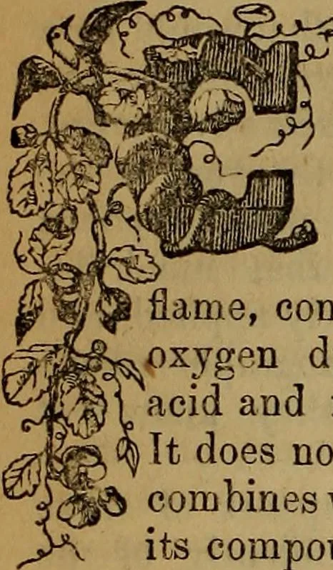 An illustration from The Photographic art-journal, 1851, leaf 33