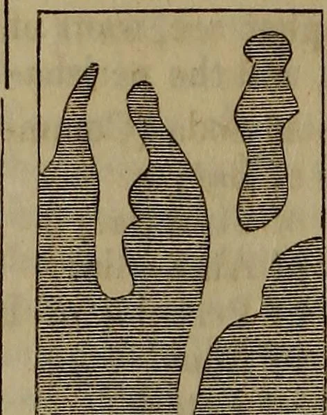 An illustration from The Photographic art-journal, 1851, leaf 349