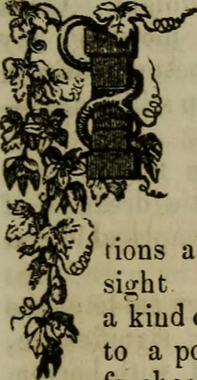 An illustration from The Photographic art-journal, 1851, leaf 364