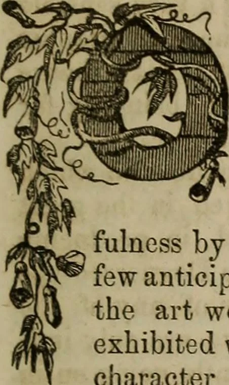 An illustration from The Photographic art-journal, 1851, leaf 384