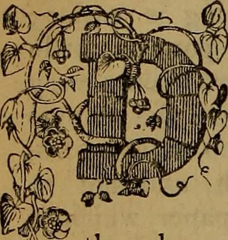 An illustration from The Photographic art-journal, 1851, leaf 43