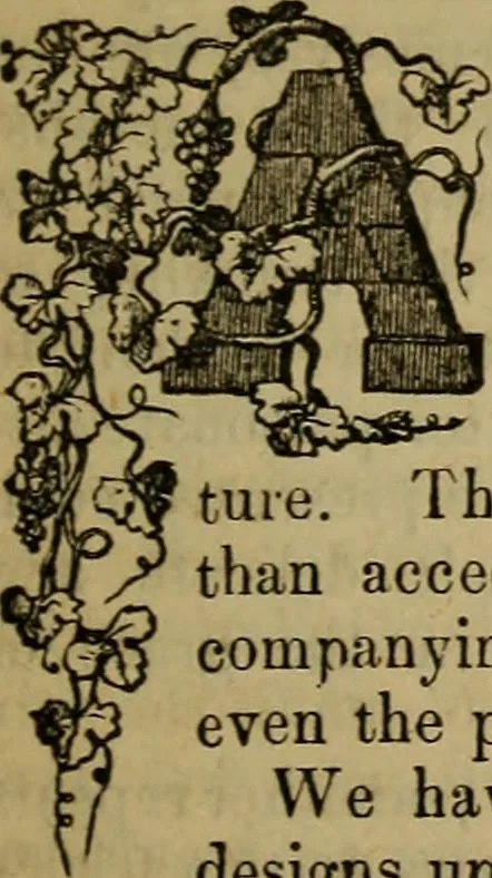 An illustration from The Photographic art-journal, 1851, leaf 48