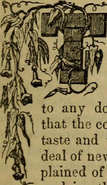 An illustration from The Photographic art-journal, 1851, leaf 52
