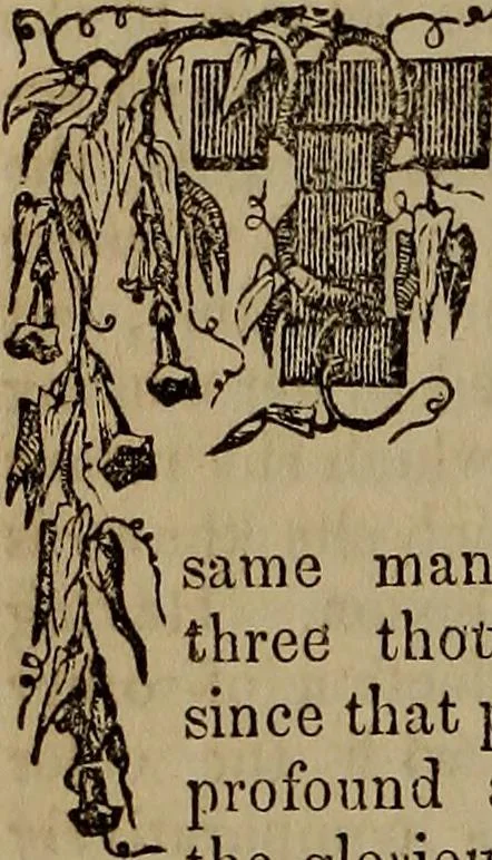 An illustration from The Photographic art-journal, 1851, leaf 107