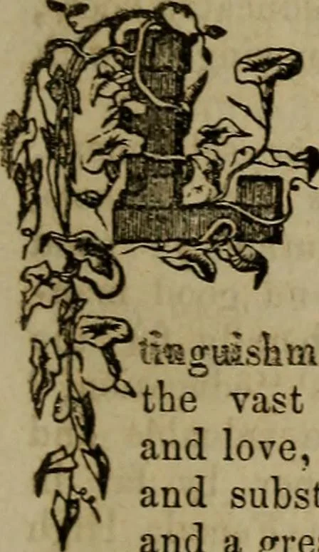 An illustration from The Photographic art-journal, 1851, leaf 110