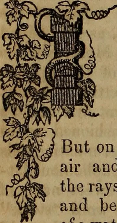 An illustration from The Photographic art-journal, 1851, leaf 113