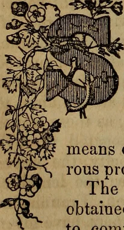 An illustration from The Photographic art-journal, 1851, leaf 125