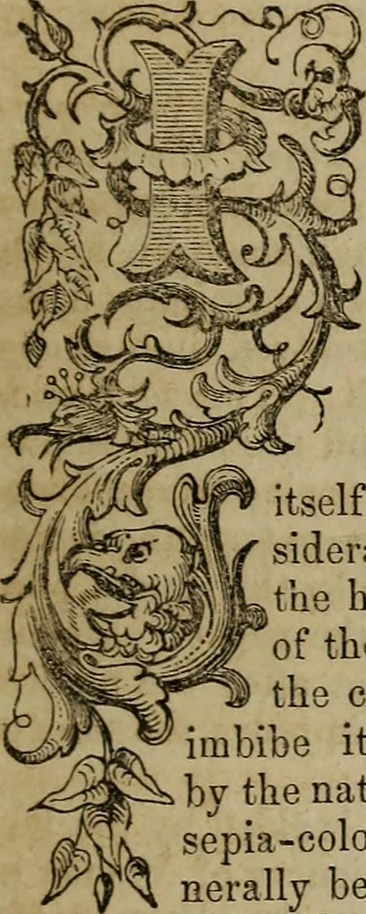 An illustration from The Photographic art-journal, 1851, leaf 142