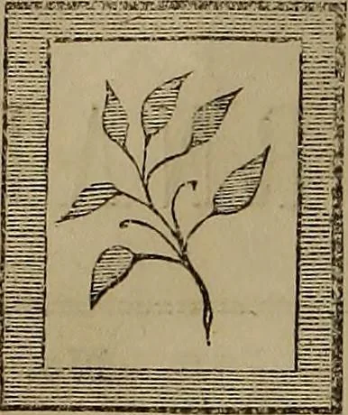 An illustration from The Photographic art-journal, 1851, leaf 15