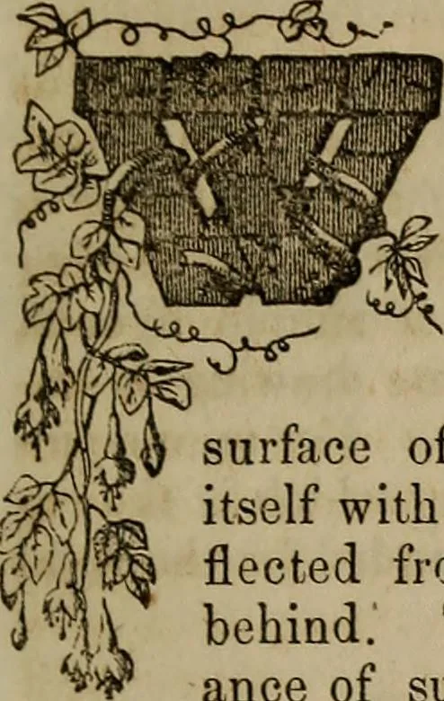 An illustration from The Photographic art-journal, 1851, leaf 164
