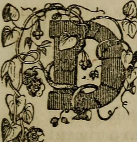 An illustration from The Photographic art-journal, 1851, leaf 178