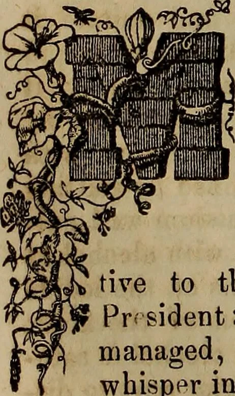 An illustration from The Photographic art-journal, 1851, leaf 187