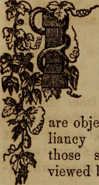 An illustration from The Photographic art-journal, 1851, leaf 245