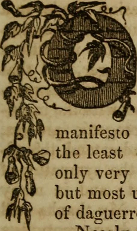An illustration from The Photographic art-journal, 1851, leaf 258