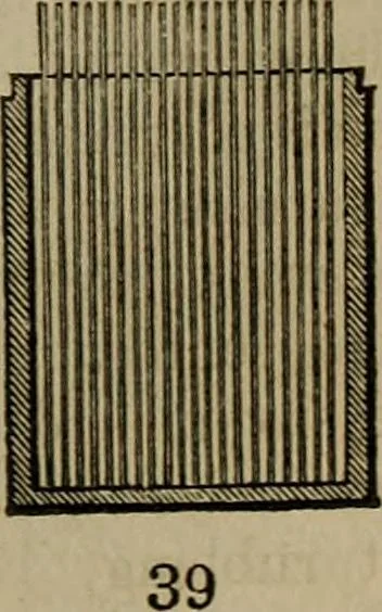An illustration from The Photographic art-journal, 1851, leaf 274