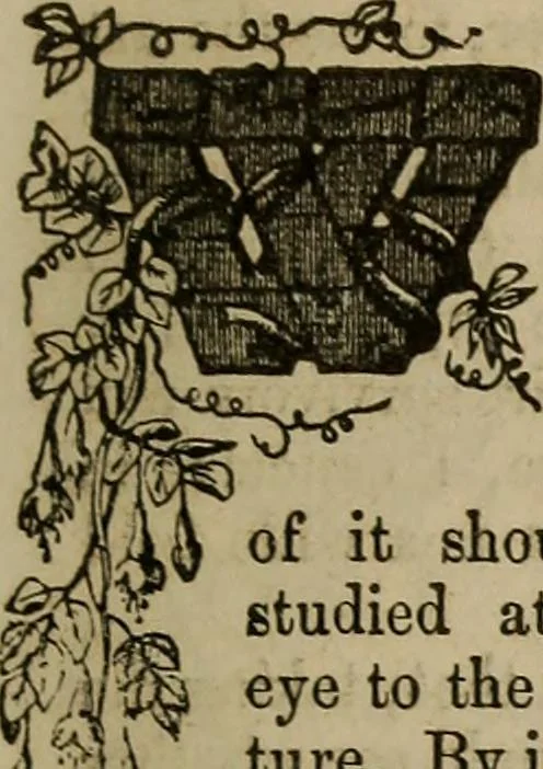 An illustration from The Photographic art-journal, 1851, leaf 30