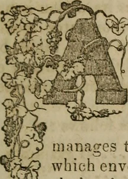 An illustration from The Photographic art-journal, 1851, leaf 306