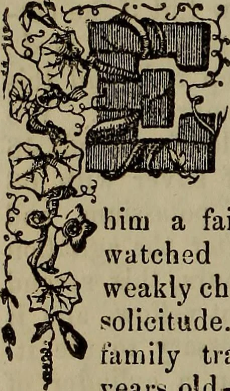 An illustration from The Photographic art-journal, 1851, leaf 317