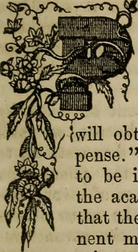 An illustration from The Photographic art-journal, 1851, leaf 32