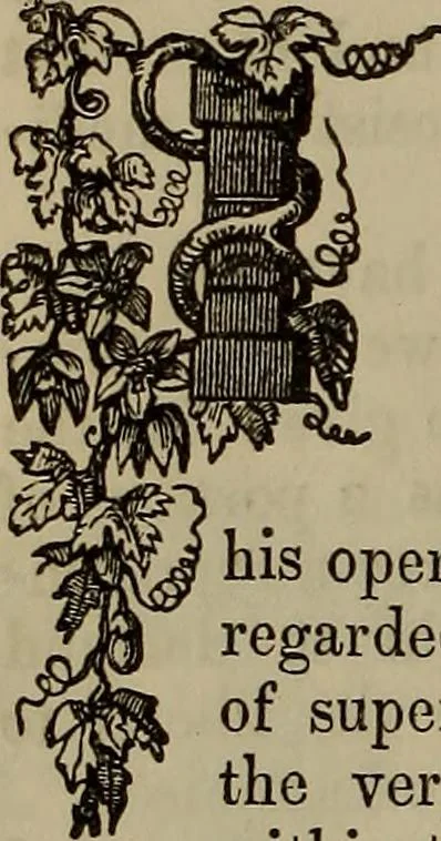 An illustration from The Photographic art-journal, 1851, leaf 325