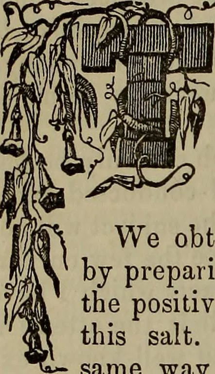 An illustration from The Photographic art-journal, 1851, leaf 363