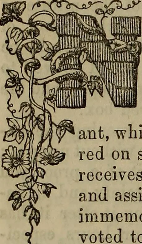An illustration from The Photographic art-journal, 1851, leaf 369