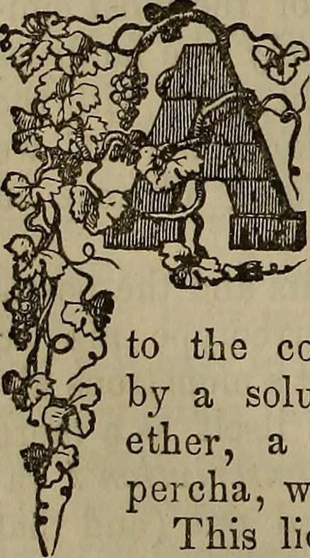 An illustration from The Photographic art-journal, 1851, leaf 371