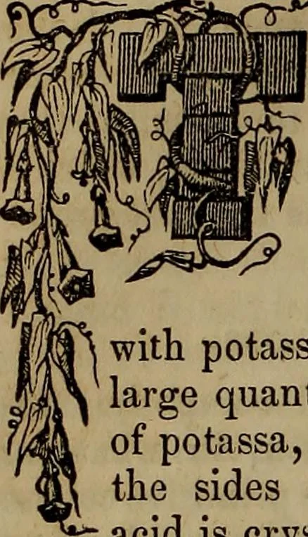 An illustration from The Photographic art-journal, 1851, leaf 39