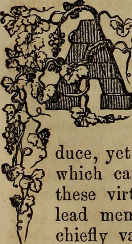 An illustration from The Photographic art-journal, 1851, leaf 43