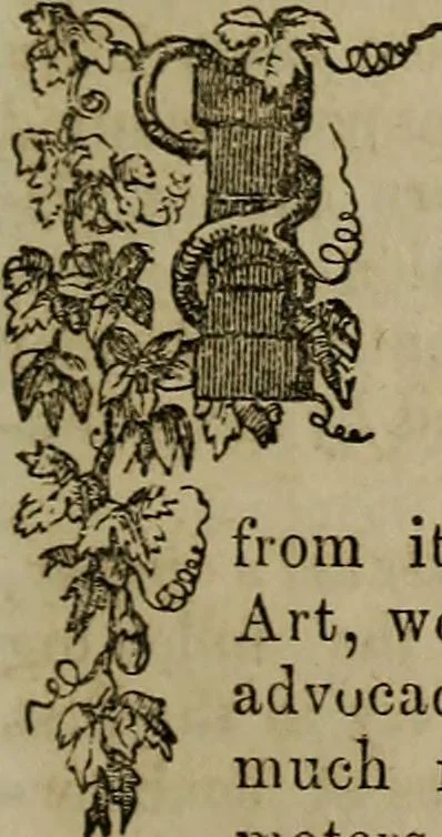 An illustration from The Photographic art-journal, 1851, leaf 50