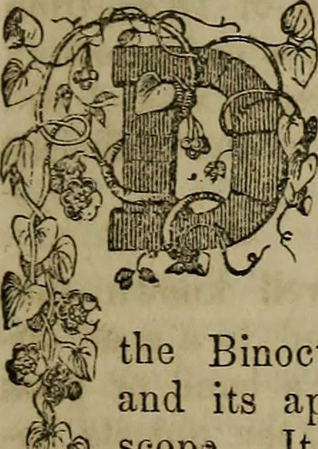 An illustration from The Photographic art-journal, 1851, leaf 54
