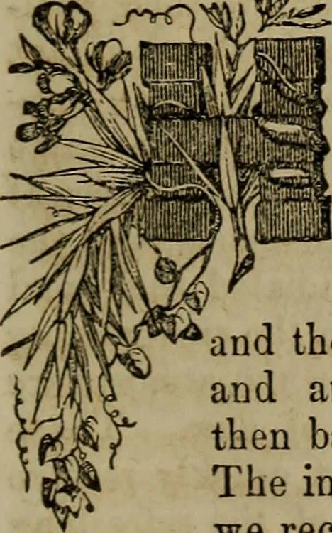 An illustration from The Photographic art-journal, 1851, leaf 62