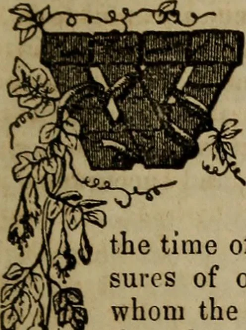 An illustration from The Photographic art-journal, 1851, leaf 98