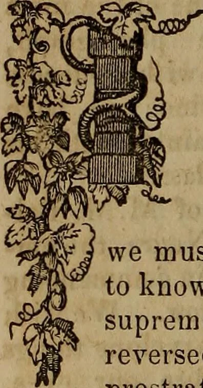 An illustration from The Photographic art-journal, 1851, leaf 99