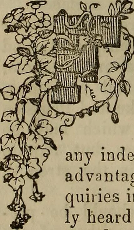 An illustration from The Photographic art-journal, 1851, leaf 103