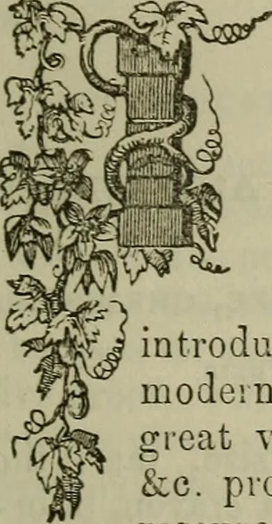 An illustration from The Photographic art-journal, 1851, leaf 112