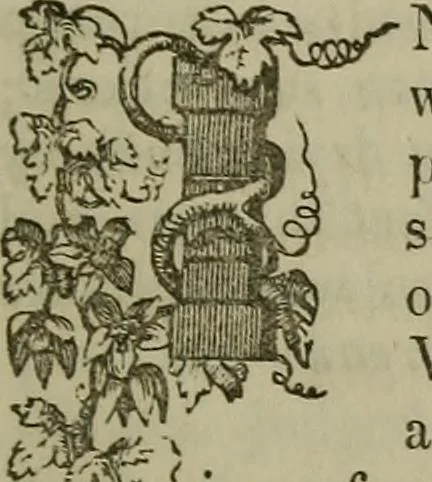 An illustration from The Photographic art-journal, 1851, leaf 116