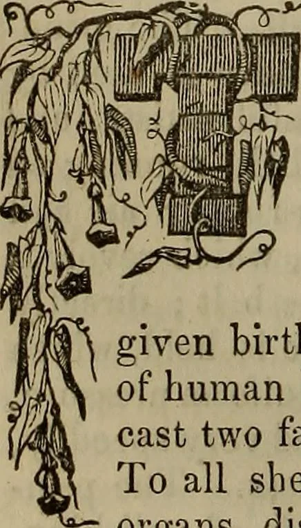 An illustration from The Photographic art-journal, 1851, leaf 117