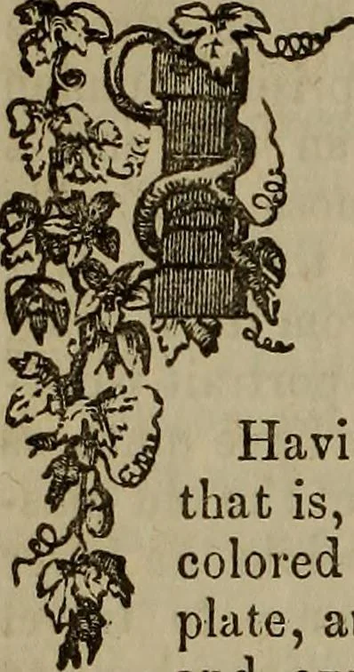 An illustration from The Photographic art-journal, 1851, leaf 123