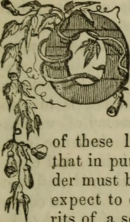 An illustration from The Photographic art-journal, 1851, leaf 130